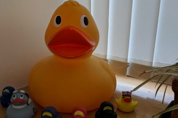 Rubber duckies in the office