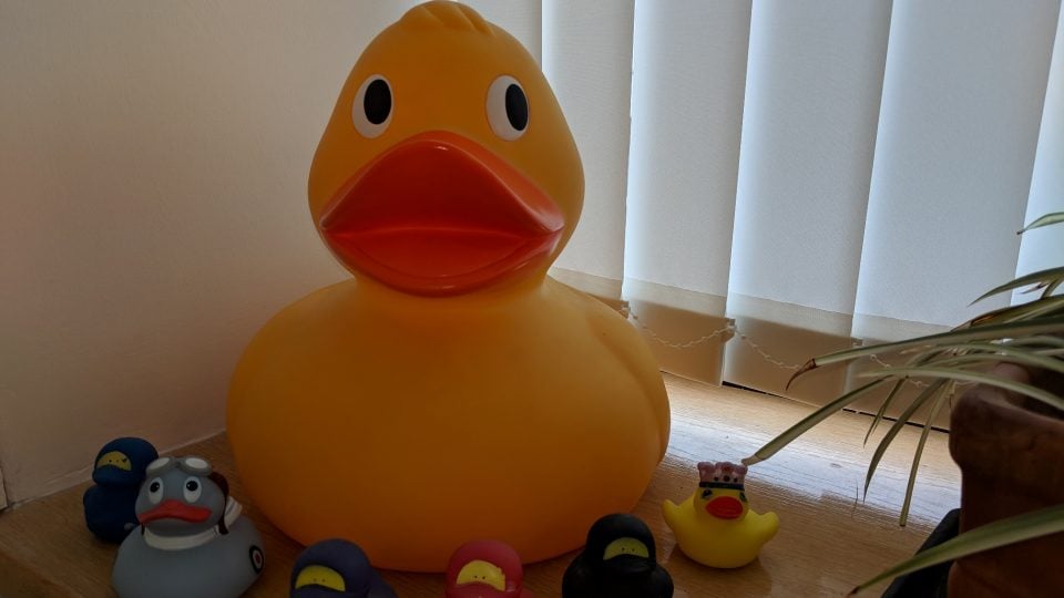 Rubber duckies in the office