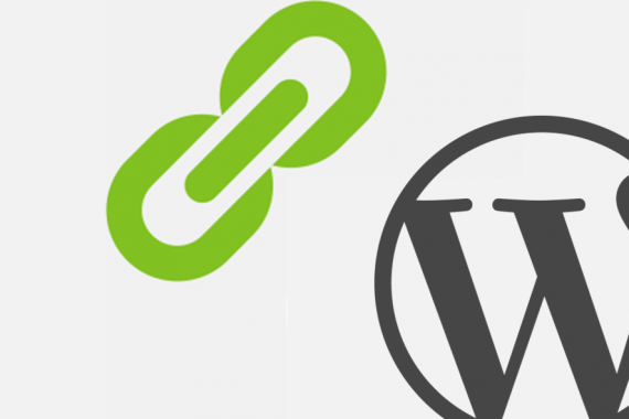 WordPress logo with image indicating link