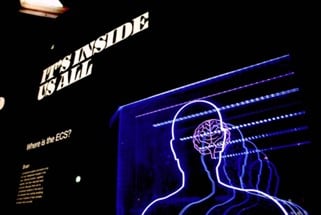 neon display of a man's head and brain