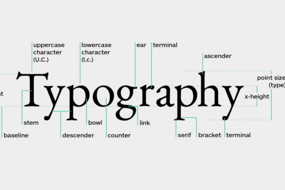 Annotated diagram of the word typography
