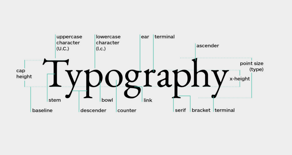 Annotated diagram of the word typography