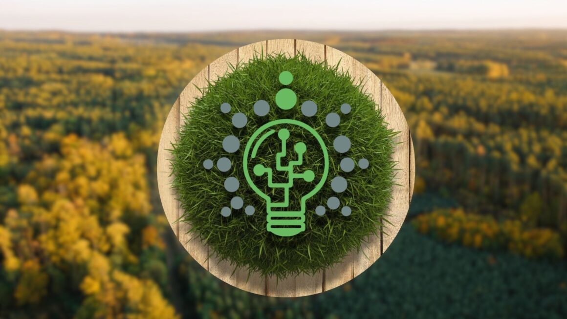 An image of a forest from a bird view and on top an edited circle of grass on a wooden circular plate with the lightbulb logo of BrightMinded