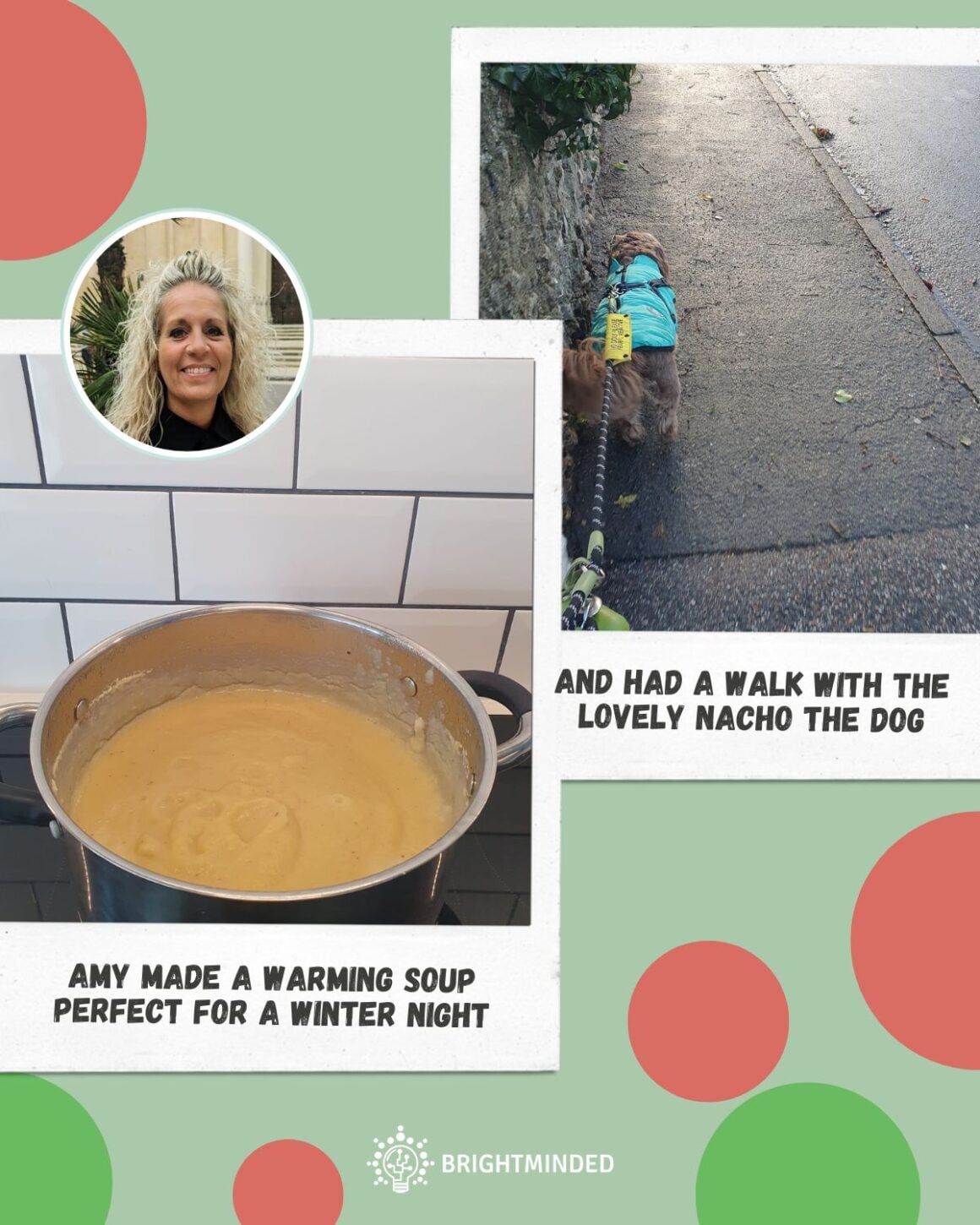 An image of soup and a dog walk