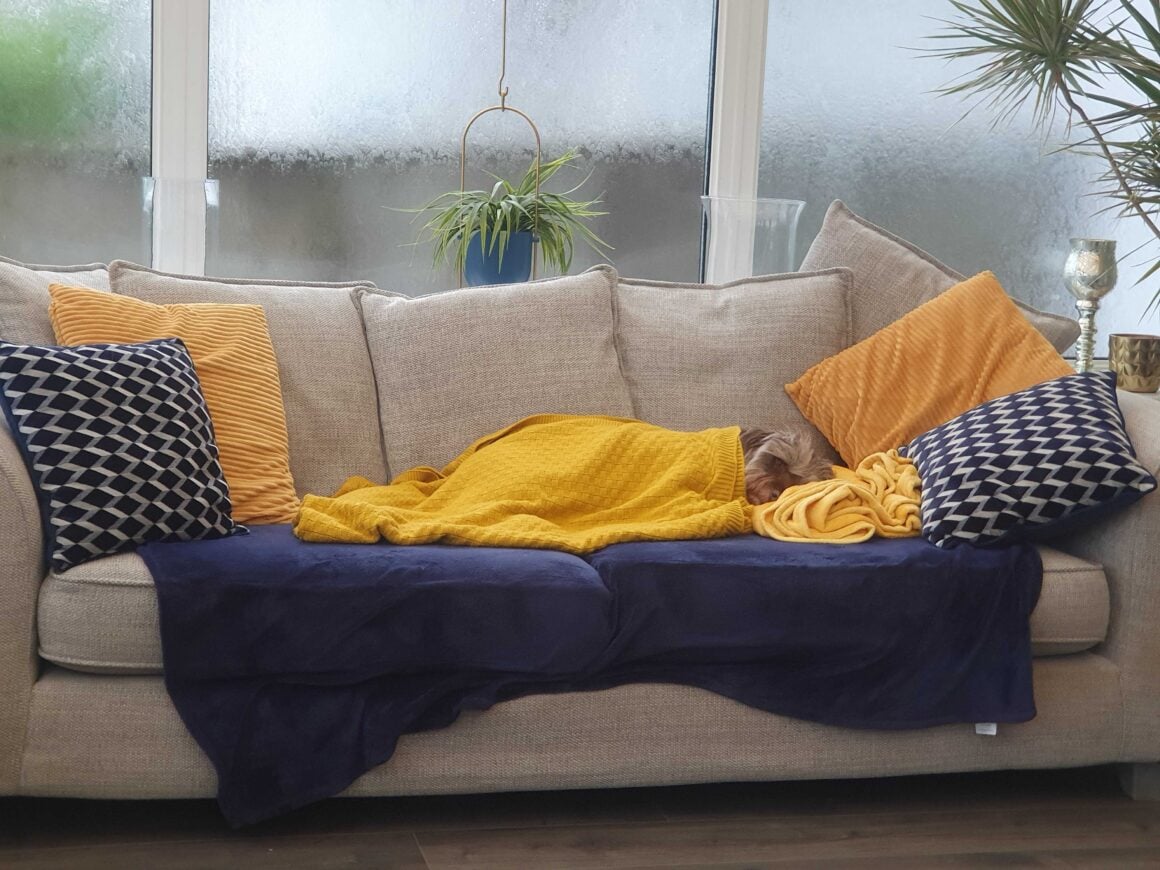 A dog sleeping on a couch wrapped in blankets